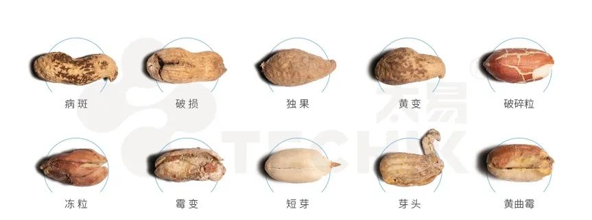2025新澳门2025原料网