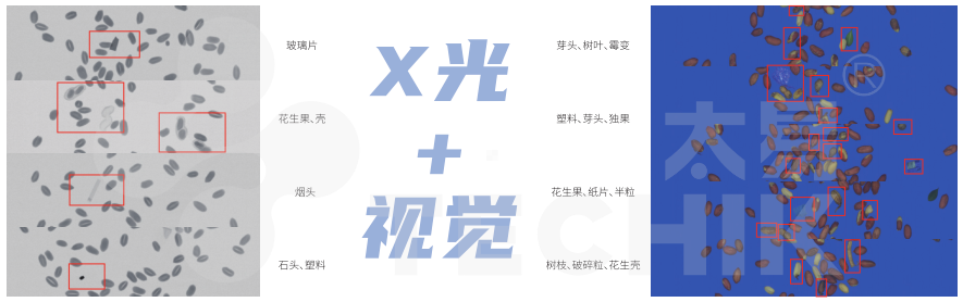 2025新澳门2025原料网