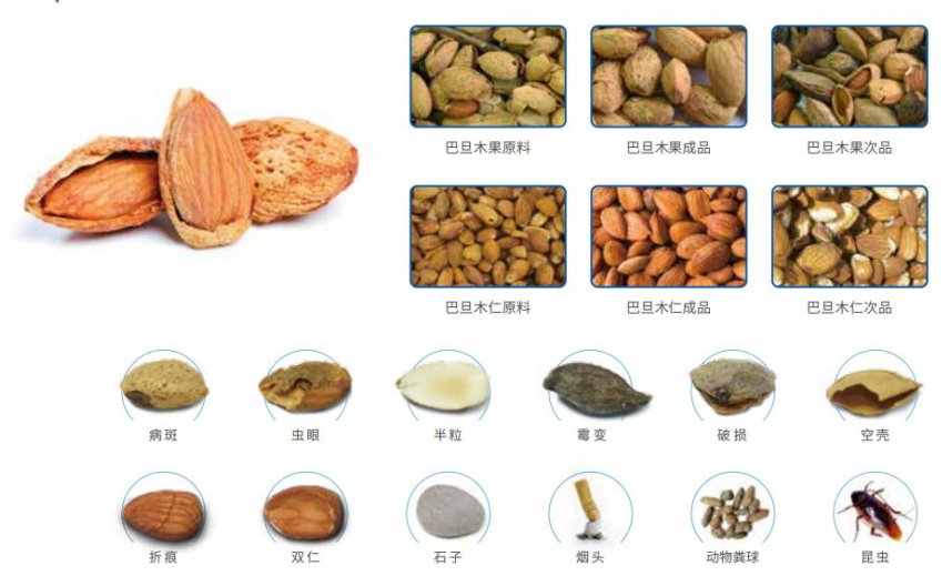 2025新澳门2025原料网