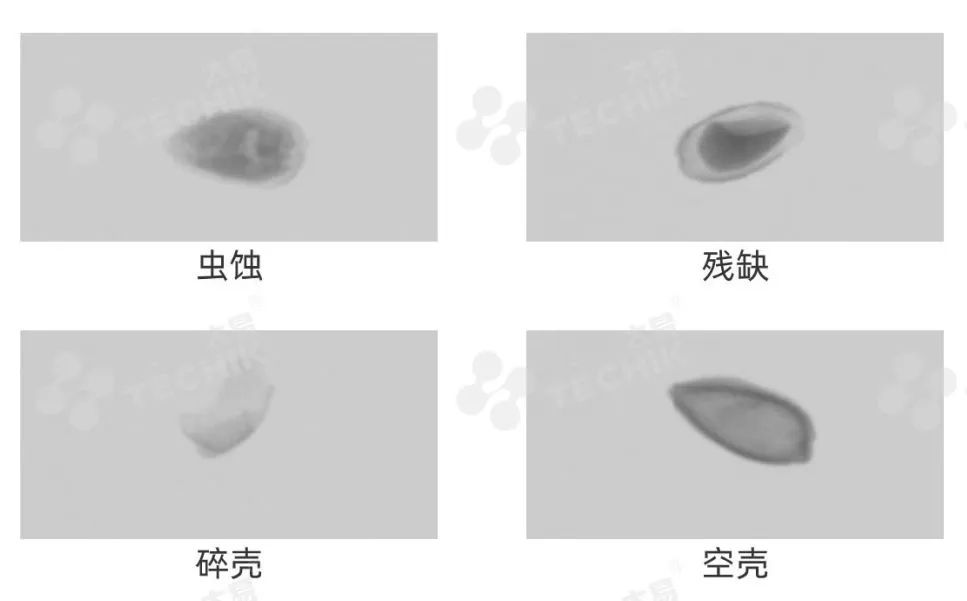 2025新澳门2025原料网