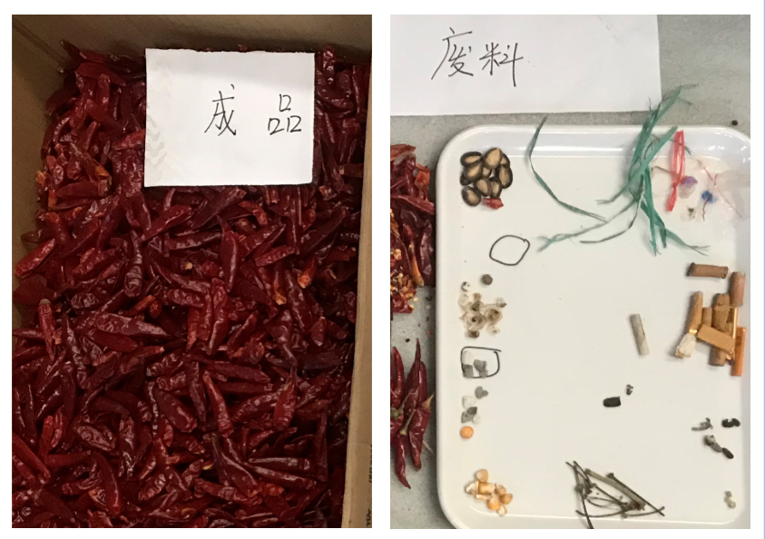 2025新澳门2025原料网