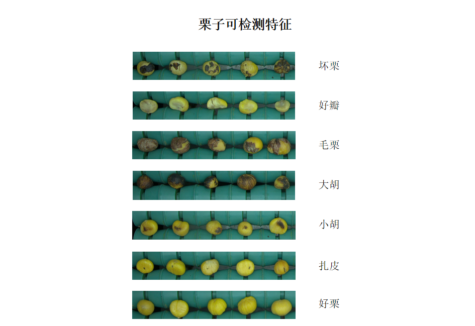 2025新澳门2025原料网