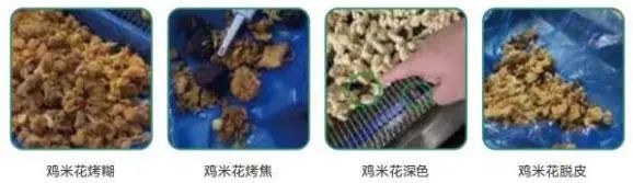 2025新澳门2025原料网