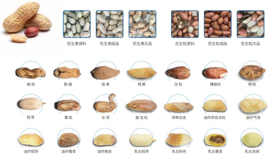 2025新澳门2025原料网